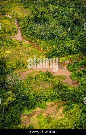 Frankreich, Guyana, Französisch Guyana Amazonas Park, Vegetation trägt die Narben der illegalen Goldminen (Luftbild) Stockfoto