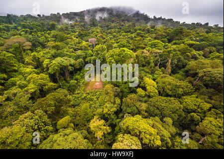 Frankreich, Guyana, Französisch Guyana Amazonas Park, Herzgegend, die Spitze des Mount Itoupe (830 m), Regenzeit, Luftbild des Nebelwaldes von den Transporthubschrauber des wissenschaftlichen Teams Stockfoto