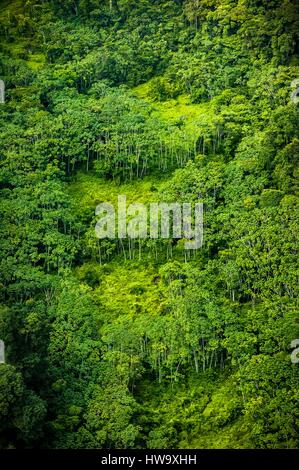 Frankreich, Guyana, Französisch Guyana Amazonas Park, Vegetation trägt die Narben der illegalen Goldminen (Luftbild) Stockfoto