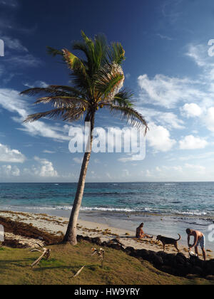 CORN ISLAND, NICARAGUA-März 13: Ein paar mit einem Hund auf zu sehen sind auf Sally Pfirsiche Strand mit Palme auf Big Corn Island, Nicaragua, Mittelamerika Stockfoto