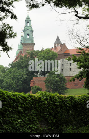 Schloss Wawel, die arkaden Renaissance Innenhof in der Mitte des Wawel in Krakau, Polen, Kathedrale auf dem Wawel, Unesco Stockfoto