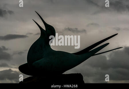 Silhouette der Skulptur der Polarseeschwalbe, Sterna paradiesaea, von Geoffrey Dashwood, North Berwick, East Lothian, Schottland Stockfoto