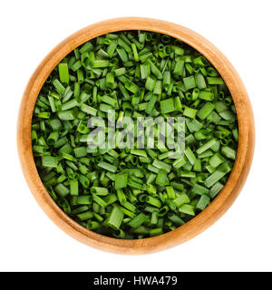 Schnittlauch in Holzschale. Frische grüne essbare Kräuter von Allium Schoenoprasum, als Zutat für Suppen, Fisch und Kartoffeln verwendet. Stockfoto
