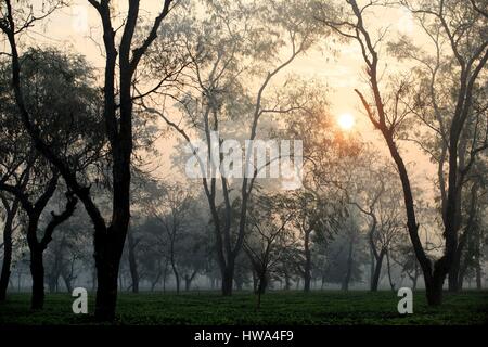 Indien, Bundesstaat Tripura, Gumti Wildschutzgebiet, Sonnenaufgang Stockfoto