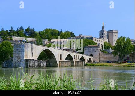 Frankreich, Vaucluse, Avignon, St. Benezet Brücke über die Rhône, die aus dem 12. Jahrhundert mit im Hintergrund Kathedrale des Doms stammt aus dem 12 t Stockfoto