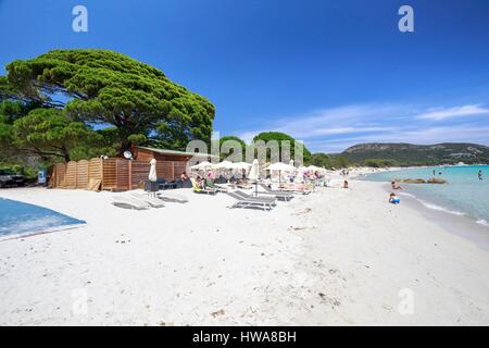 Frankreich, Corse-du-Sud Porto Vecchio Palombaggia, Strand von Palombaggia Stockfoto