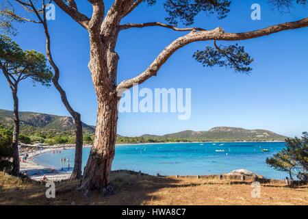 Frankreich, Corse-du-Sud Porto Vecchio Palombaggia, Strand von Palombaggia Stockfoto