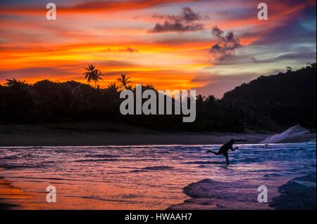 Frankreich, Guyana, Cayenne, Rémire-Montjoly Strand, Fischer mit Sperber Netto bei Sonnenuntergang Stockfoto