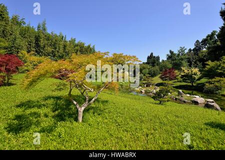 Frankreich, Gard, Anduze, Bambus Nut der PraFrance gegründet 1856 gekennzeichnet Jardin Remarquable Dragon Valley, japanischer Garten Stockfoto