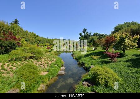 Frankreich, Gard, Anduze, Bambus Nut der PraFrance gegründet 1856 gekennzeichnet Jardin Remarquable Dragon Valley, japanischer Garten Stockfoto