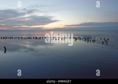 Sonnenuntergang im Steinhuder Meer, Hannover, Deutschland. Stockfoto