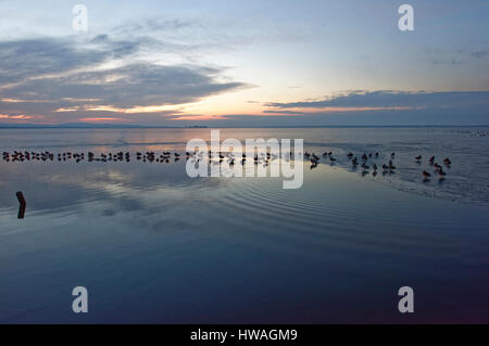 Sonnenuntergang im Steinhuder Meer, Hannover, Deutschland. Stockfoto