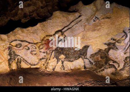 Frankreich, Dordogne, Perigord Noir Vézère-Tal, Montignac Sur Vézère, Höhlen von Lascaux II, Rekonstitution der prähistorische Stätte und eingerichtete Höhle Liste Stockfoto