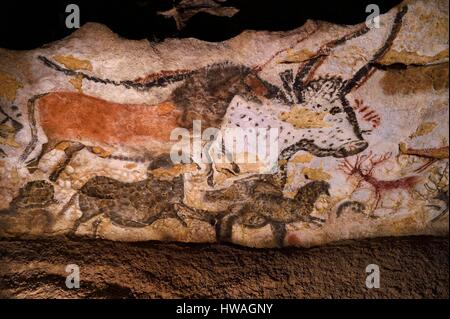 Frankreich, Dordogne, Perigord Noir Vézère-Tal, Montignac Sur Vézère, Höhlen von Lascaux II, Rekonstitution der prähistorische Stätte und eingerichtete Höhle Liste Stockfoto