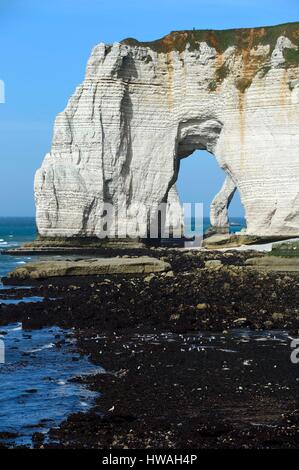 Frankreich, Seine-Maritime, Pays de Caux, Alabaster Küste (Cote d'Albatre), Etretat, Manneporte gesehen von der Pointe De La Courtine bei Ebbe Stockfoto