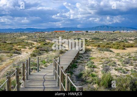 Portugal, Algarve-Region, Olhao, Naturpark Ria Formosa, Insel Culatra Stockfoto