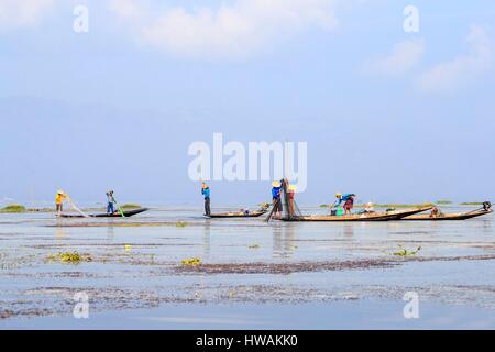Myanmar, Shan-Staat, Inle See, Nyaungshwe Township, lokale Intha Fischer Fischen mit Netz Stockfoto
