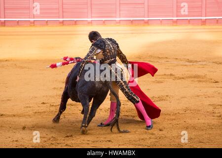Spanien, Andalusien, Jerez De La Frontera, Jerez Stierkampfarena, übergeben Sie Veronique auf einem Stier während der Stierkampf im Mai 2016 Stockfoto