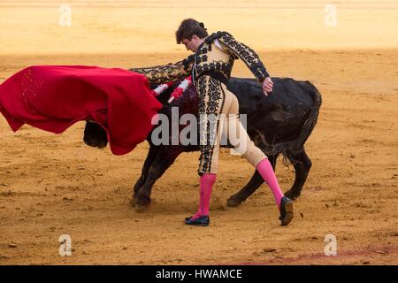 Spanien, Andalusien, Sevilla, Faena Novillero Curro Duran, Mai 2016 Stockfoto