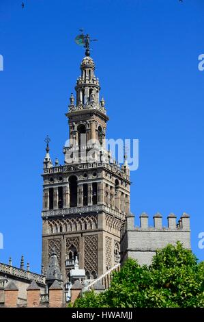 Spanien, Andalusien, Sevilla (Sevilla), Giralda Turm, ehemalige Almohaden Minarett der großen Moschee Glockenturm der Kathedrale umgewandelt, aufgeführt als W Stockfoto