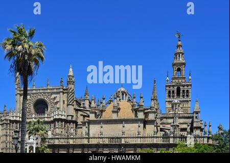 Spanien, Andalusien, Sevilla (Sevilla), Giralda Turm, ehemalige Almohaden Minarett der großen Moschee Glockenturm der Kathedrale umgewandelt, aufgeführt als W Stockfoto