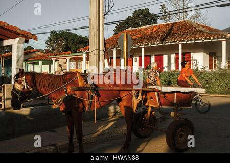 Amerika, Karibik, Kuba, Pinar del Rio, Vinales, Weltkulturerbe von UNESCO, Vinales, einer Pferdekutsche durch die Straßen der villa Stockfoto