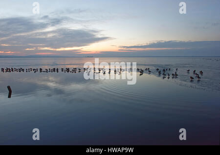 Sonnenuntergang im Steinhuder Meer, Hannover, Deutschland. Stockfoto