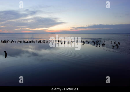 Sonnenuntergang im Steinhuder Meer, Hannover, Deutschland. Stockfoto