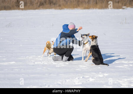 Frau, Fütterung Hunde beim Spielen im Freien im Wintersaison Stockfoto