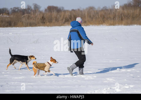 Reife Frau mit zwei Hunden auf frischem Schnee beim Spielen im Freien ausgeführt Stockfoto