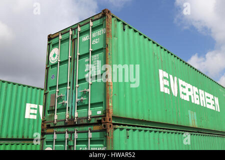 Immergrüne 40 ft intermodal Container. Evergreen mit Hauptsitz in Taiwan ist eine globale Container-Freight-Reederei. Stockfoto