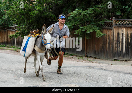 Läufer und Pack Burro (Esel), Idaho Springs Tommyknockers Mining Days Festival und Pack Burro Rennen, Idaho Springs, Colorado USA Stockfoto