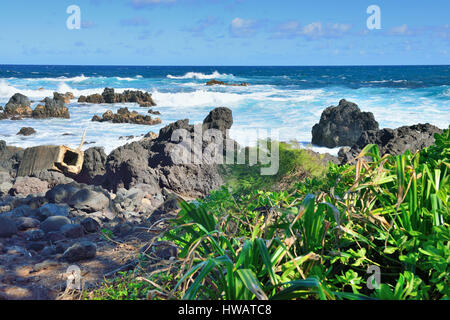 Pazifischen Ozean und Lavafelsen im Laupahoehoe Beach Park in Big Island von Hawaii Stockfoto