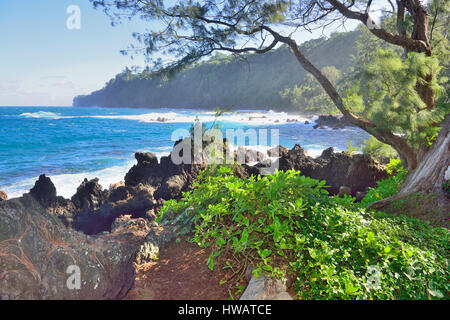 Pazifischen Ozean und Lavafelsen im Laupahoehoe Beach Park in Big Island von Hawaii Stockfoto