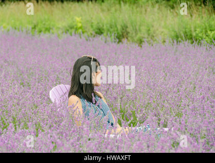 Diese Lavendelfarm an der Nordküste von Long Island lädt zum sitzen und den entspannenden Duft von blühenden Lavendel Pflanzen umgeben sein. Stockfoto