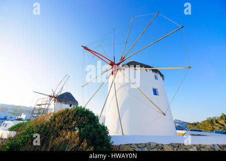 Berühmten Mykonos Windmühlen im frühen Morgenlicht, Griechenland Stockfoto