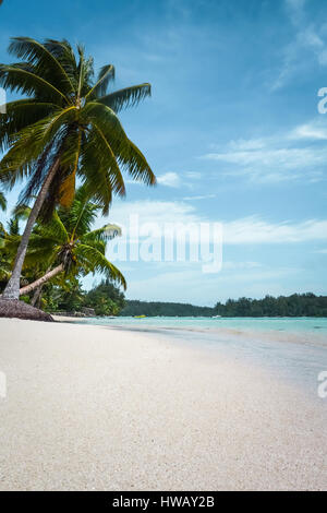 Tropisches Paradiesstrand und Lagune auf der Insel Moorea. Französisch-Polynesien Stockfoto