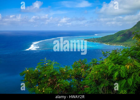 Luftaufnahme der Opunohu Bay und die Lagune auf der Insel Moorea. Französisch-Polynesien Stockfoto