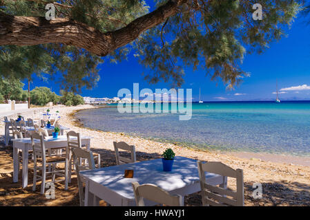 Niedliche kleine Taverne in den Olivenbäumen Schatten auf der Insel Paros, Kykladen Paradise Resort, Kykladen, Griechenland Stockfoto