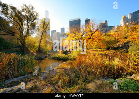 Manhattan Central Park mit Brücke und Wolkenkratzer im Herbst in New York City Stockfoto