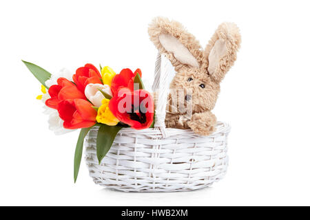 Osterhase mit bunten Tulpen in einem Korb isoliert auf weißem Hintergrund Stockfoto