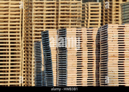 neue Holzpaletten auf Fabrik Hinterhof Stockfoto