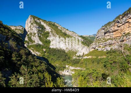 Frankreich, Var auf der linken Bank und Alpes de Haute Provence auf dem rechten Ufer, Parc Naturel Regional du Verdon (Regionalen Naturpark von Verdon), Gorges du Verdon, Grand Canyon Stockfoto