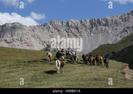 Kirgisistan, Naryn Provinz, touristische Reise und Mountain Trek, Herde von Pferden Stockfoto