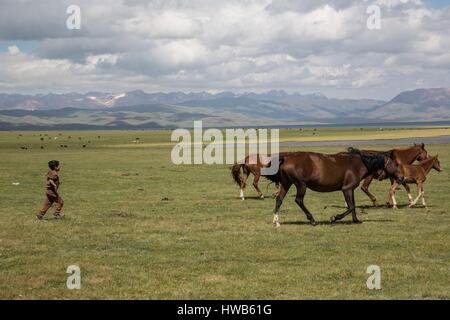 Kirgisistan, Naryn Provinz, touristische Reise und Mountain Trek, Stuten und Kind Stockfoto