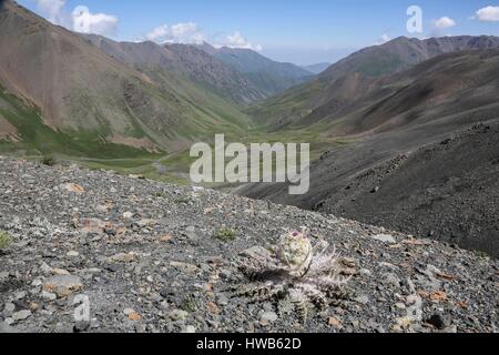 Kirgisistan, Naryn Provinz, Sightseeing Tour und Mountain trek Stockfoto