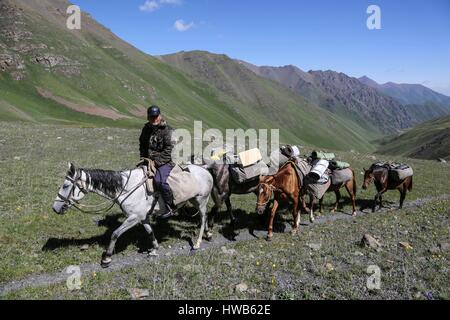 Kirgisistan, Naryn Provinz, touristische Reise und Mountain Trek, Karawane der Pferde tragen Taschen und Ausrüstung Stockfoto