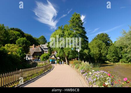 Frankreich, Seine Maritime Veules Les Roses, Wanderer auf dem Weg der Brunnenkresse entlang der Veules, der kleinste Fluss Frankreichs in 1100 Meter Stockfoto