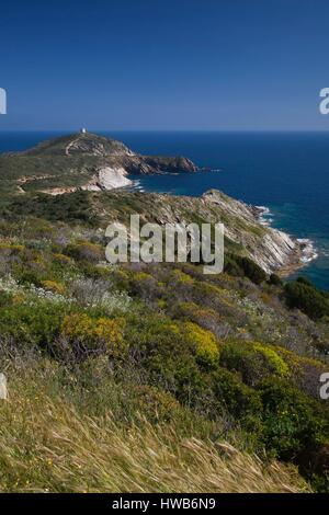 Italien, Sardinien, Süd-West Sardinien, Capo Malfatano Landschaft Stockfoto