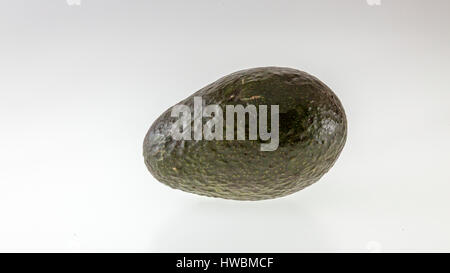 Avocado auf weißem Hintergrund Persea Americana Stockfoto